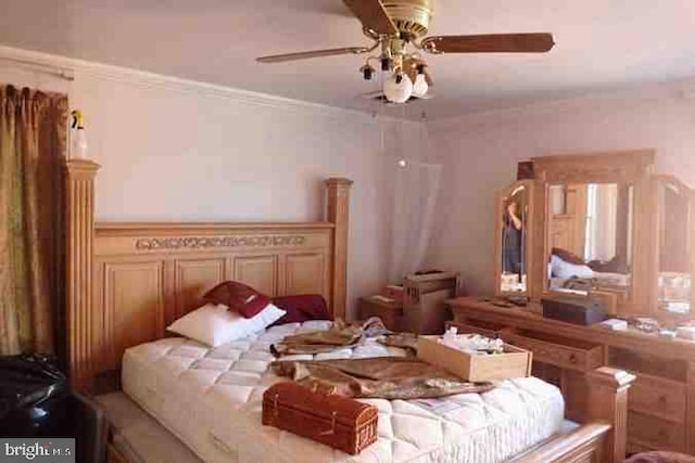 bedroom featuring ceiling fan