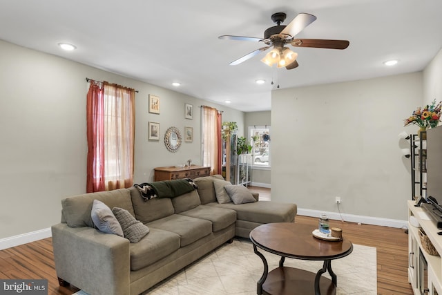 living room with ceiling fan and light wood-type flooring