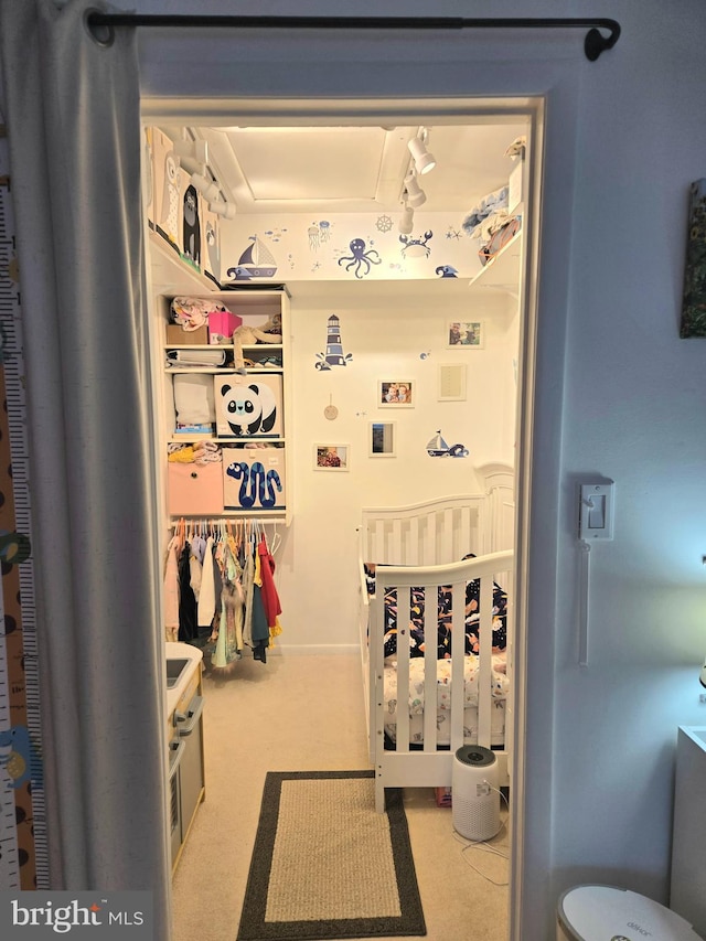 spacious closet featuring light carpet