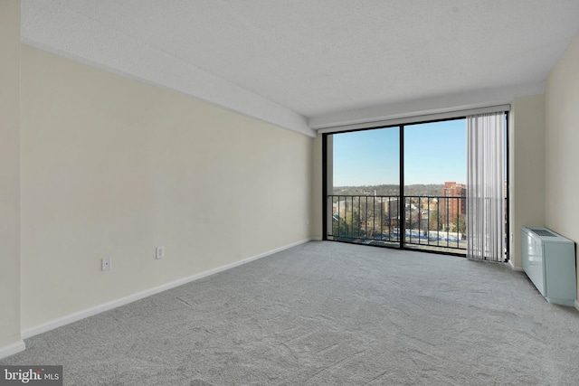 carpeted spare room featuring a textured ceiling