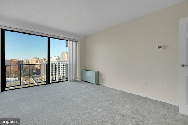 carpeted empty room with a textured ceiling