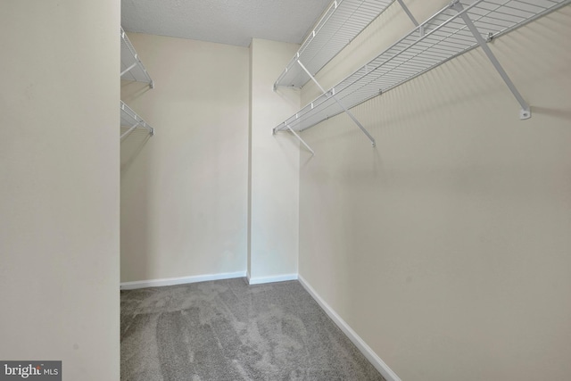 spacious closet with carpet floors