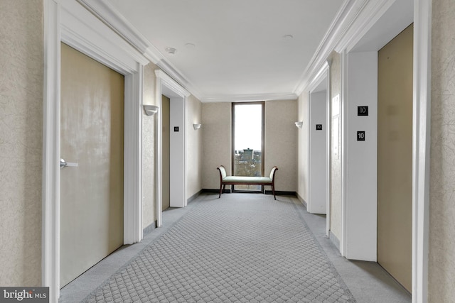 hallway featuring crown molding, elevator, and light colored carpet