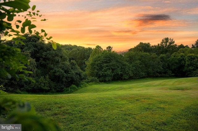 view of yard at dusk