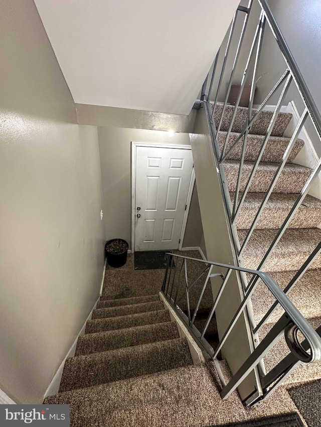 staircase featuring carpet flooring