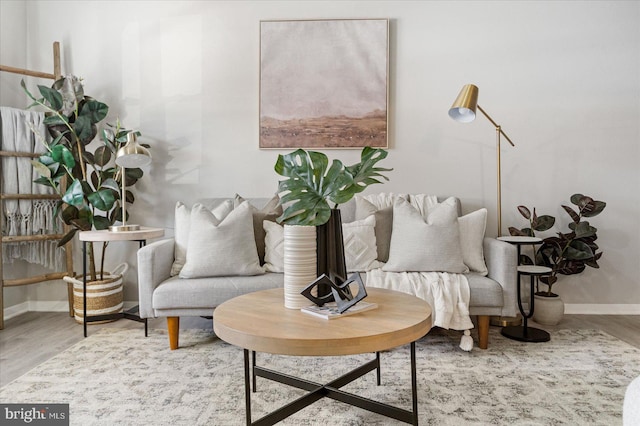 living area with wood-type flooring