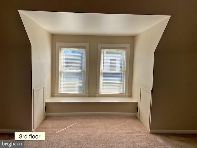 bonus room with light colored carpet