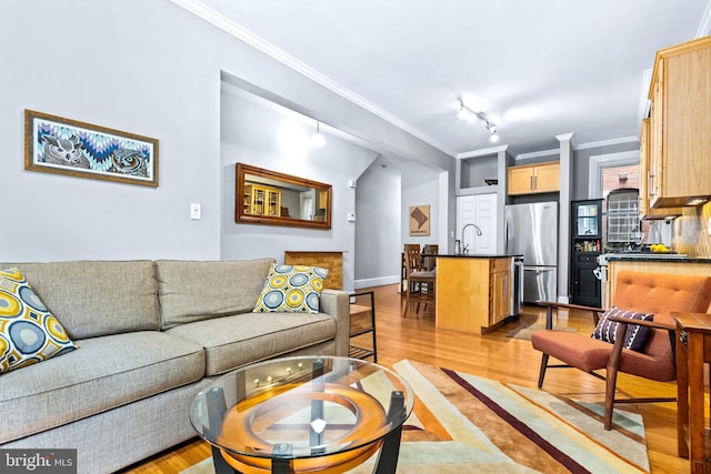 living room featuring light wood-type flooring, track lighting, crown molding, and sink