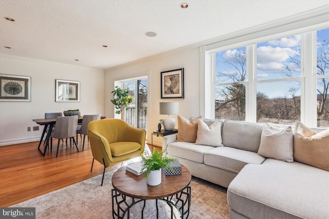 living room featuring crown molding, a textured ceiling, and light wood-type flooring