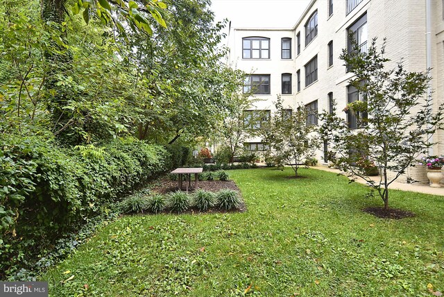 view of property's community featuring a lawn