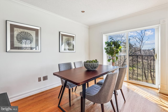 dining area with ornamental molding, light hardwood / wood-style flooring, and a textured ceiling