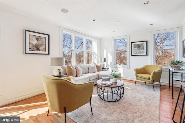 living room with hardwood / wood-style flooring and a textured ceiling