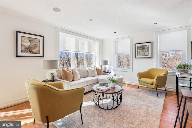 living room with hardwood / wood-style flooring, a healthy amount of sunlight, and a textured ceiling