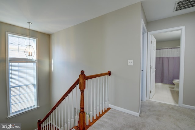 hallway featuring light carpet and plenty of natural light