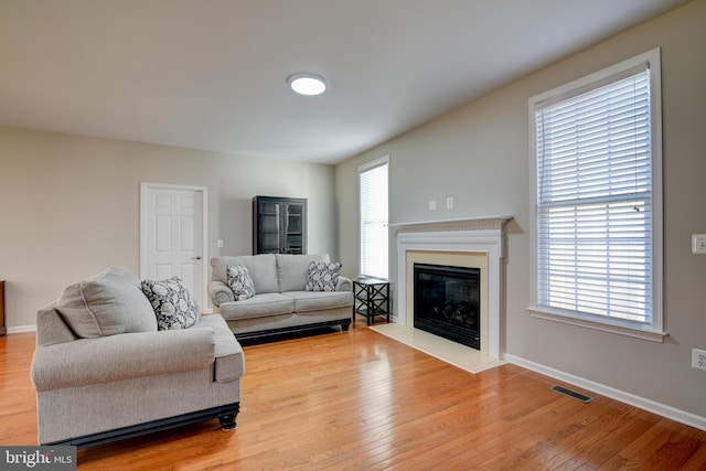 living room with wood-type flooring and a healthy amount of sunlight