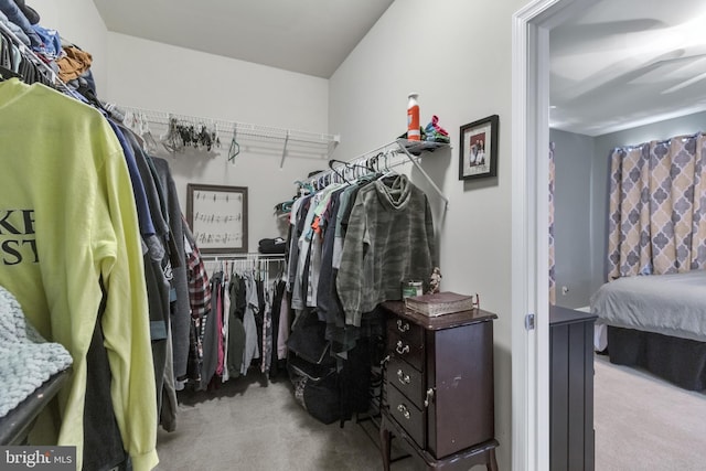 spacious closet featuring light carpet