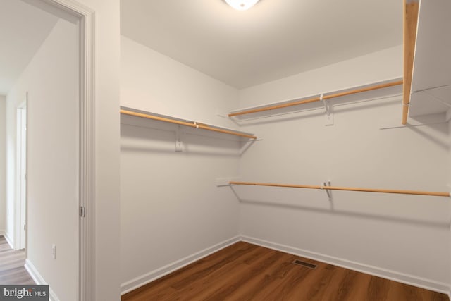 spacious closet featuring dark hardwood / wood-style flooring