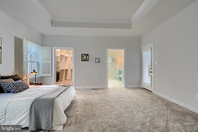 carpeted bedroom featuring crown molding, a spacious closet, a raised ceiling, and ensuite bathroom