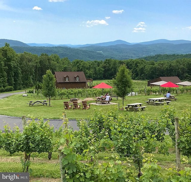 property view of mountains