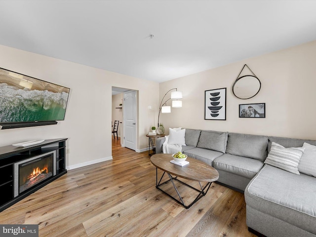 living room with light hardwood / wood-style flooring