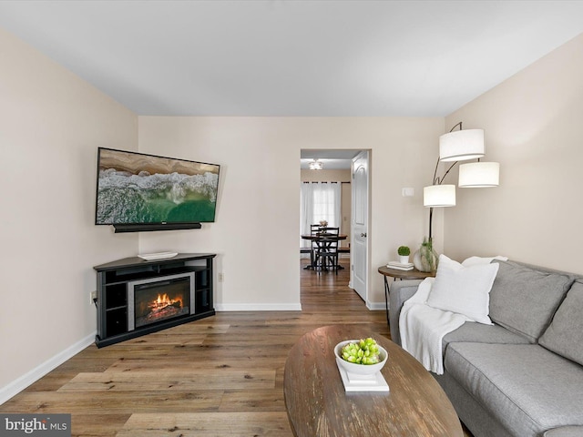 living room featuring hardwood / wood-style floors