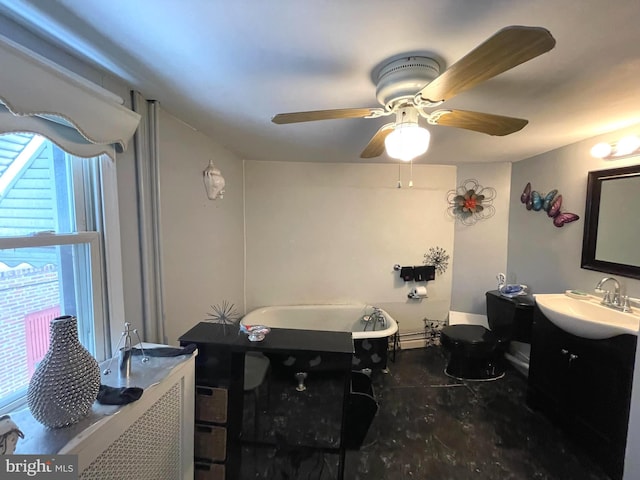 interior space featuring ceiling fan, plenty of natural light, a washtub, and vanity