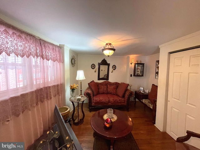 living room featuring dark hardwood / wood-style flooring