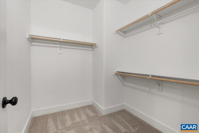 walk in closet with light carpet