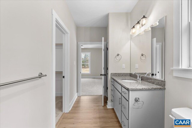 bathroom with wood-type flooring, toilet, and vanity