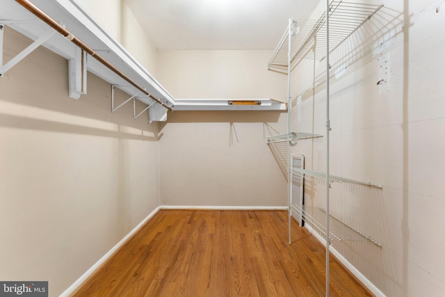 walk in closet featuring hardwood / wood-style flooring