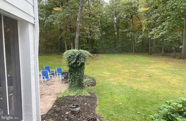 view of yard featuring a patio