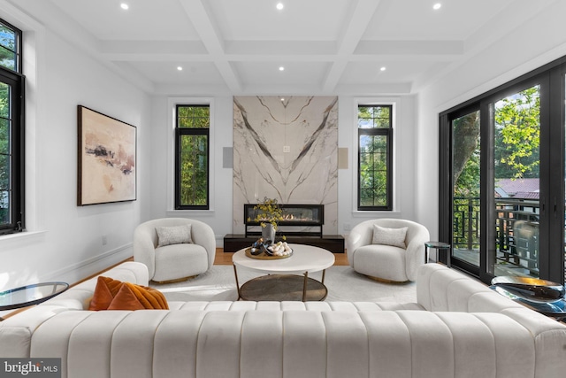 3819 NW Albemarle St NW, Washington, DC 20016 - living room with recessed lighting, coffered ceiling, beamed ceiling, wood finished floors, and a high end fireplace