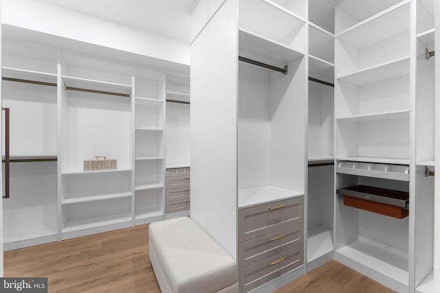 3819 NW Albemarle St NW, Washington, DC 20016 - walk in closet with light wood-style floors