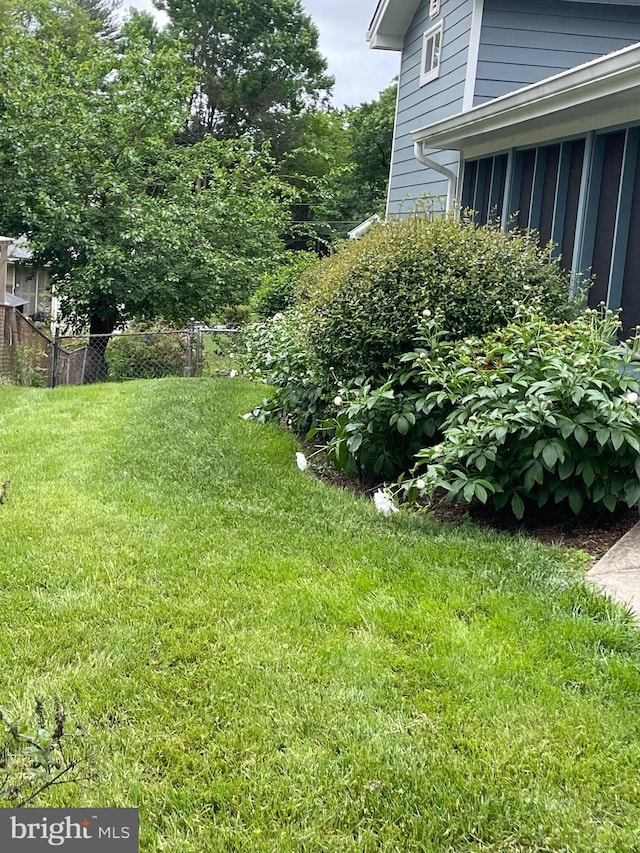 906 N Belgrade Rd, Silver Spring, MD 20902 - view of yard