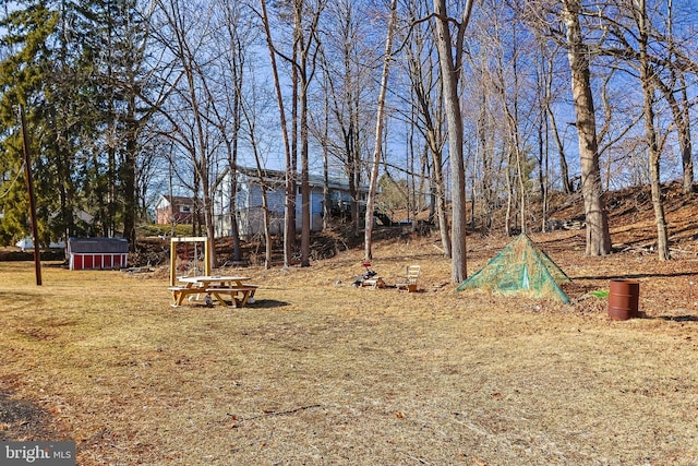 view of yard featuring an outbuilding and a storage shed