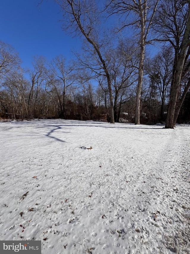 view of yard layered in snow