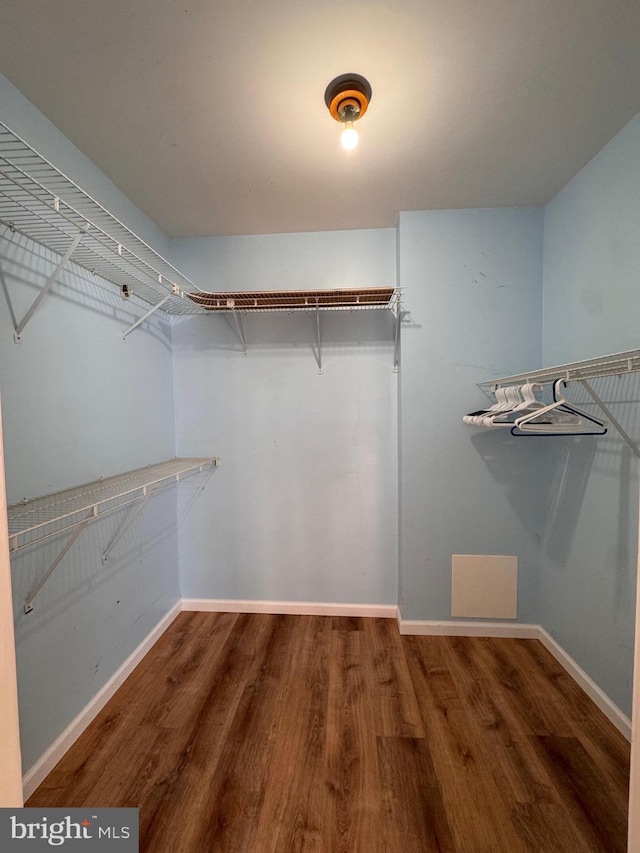 spacious closet with hardwood / wood-style floors