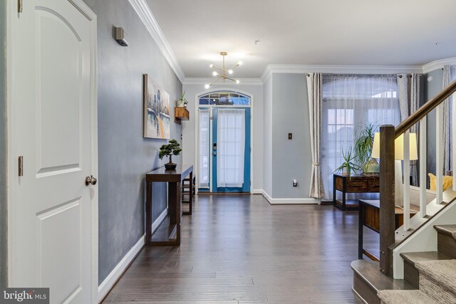 entryway featuring an inviting chandelier, ornamental molding, and dark hardwood / wood-style floors