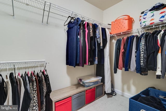 spacious closet featuring carpet floors