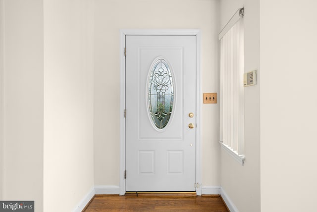 foyer with wood-type flooring