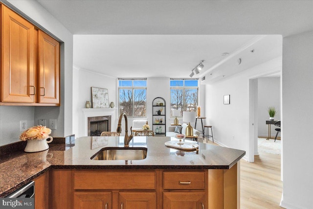 kitchen featuring light hardwood / wood-style floors, sink, stainless steel dishwasher, and dark stone countertops