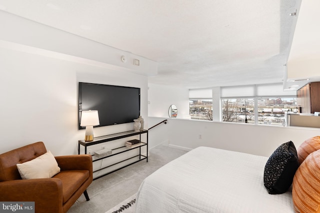 bedroom with light colored carpet