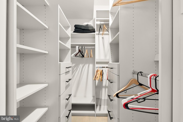 view of spacious closet