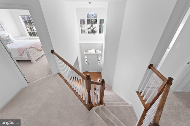 stairway featuring a chandelier, carpet, and a high ceiling