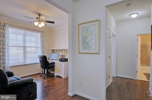 home office featuring ornamental molding, dark wood-type flooring, and ceiling fan