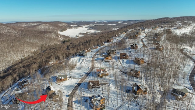 view of snowy aerial view