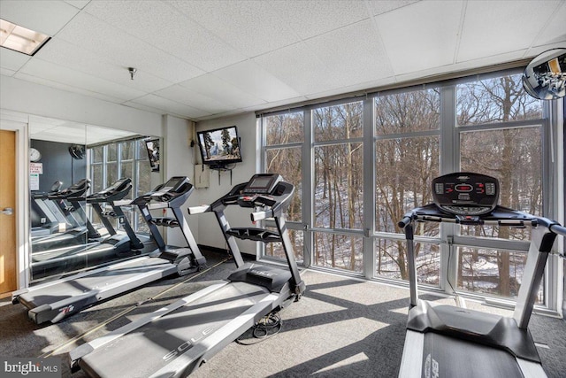 gym featuring a wall of windows, carpet floors, and a paneled ceiling