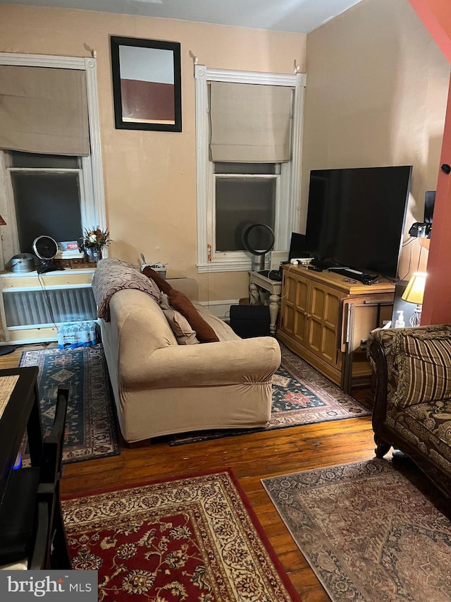 living room with dark hardwood / wood-style flooring