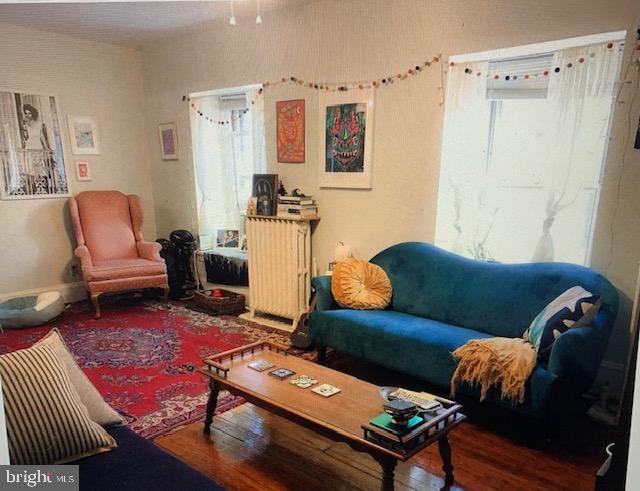 living room with hardwood / wood-style floors