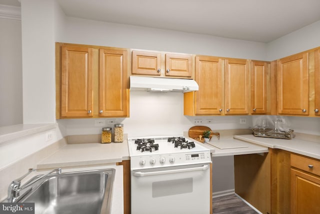 kitchen with white gas range oven, hardwood / wood-style floors, and sink